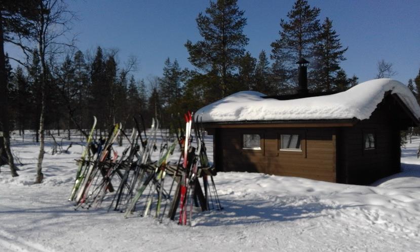 3.2 Aineisto ja menetelmät Aineistonkeruumenetelmänä käytettiin ohjattua kyselyä.