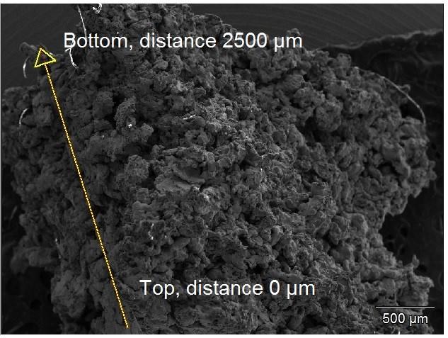 In Figure 18, the SEM image of the scanned area and line is presented. In Figure 19, the results of the linescan as counts of different elements are shown as unrefined data of the linescan analysis.