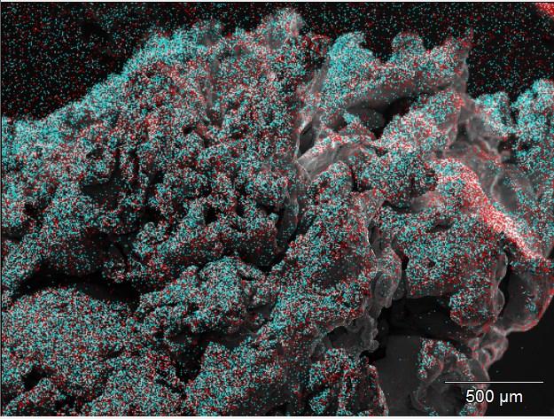 Figure 21. Filter with 1600 cycles of NiO made with stop-flow setting. Nickel gradient can be seen in top part of the filter, in right top corner of the image.