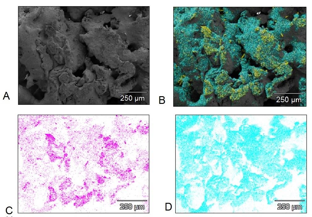 Figure 35. SEM-EDS image of top side of 1600 cycles of NiO containing filter disc.