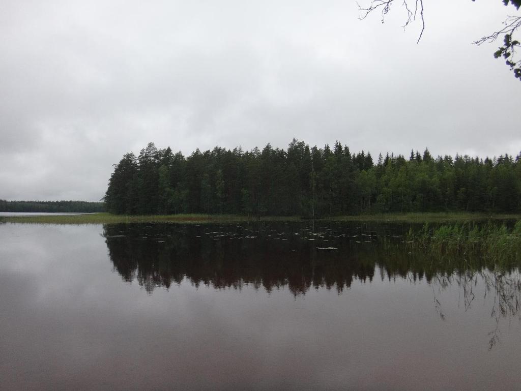 2 / 3 Ruokjärvi oli tyyni 2.8.2017. Kuva: Arto Muttilainen. Tulokset Happipitoisuus oli sekä maalis- että elokuussa hyvä pinnasta 7 metrin syvyyteen saakka.