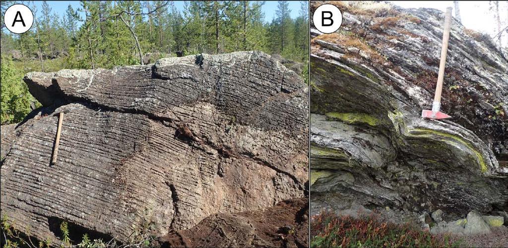 GEOLOGIAN TUTKIMUSKESKUS Alueellinen geotieto (ALG) 10 Kuva 6. A) Ultramafinen peridotiitti, missä rapautumispinta ultramafisille kiville tyypillinen röpelöinen punertavan ruskea, ns. norsunnahka.