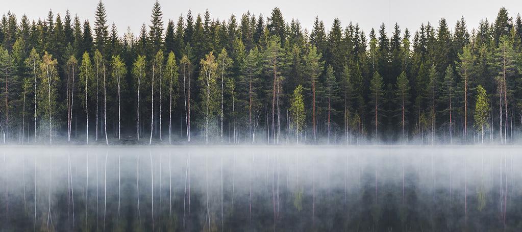 Vastuullisuusohjelman eteneminen Paras paikka elää -ohjelma on nykyisessä muodossaan voimassa vuodet 2017 2020.