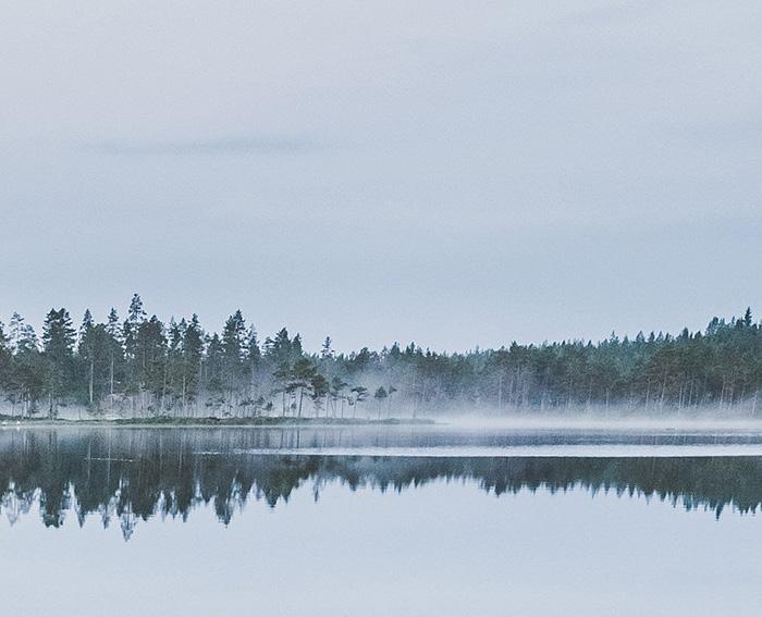 Osuuskunnan kokous SOK:n jäsenet (omistajat) käyttävät päätösvaltaansa osuuskunnan kokouksessa. Osuuskunnan kokous päättää sille osuuskuntalain ja SOK:n sääntöjen nojalla kuuluvista asioista.