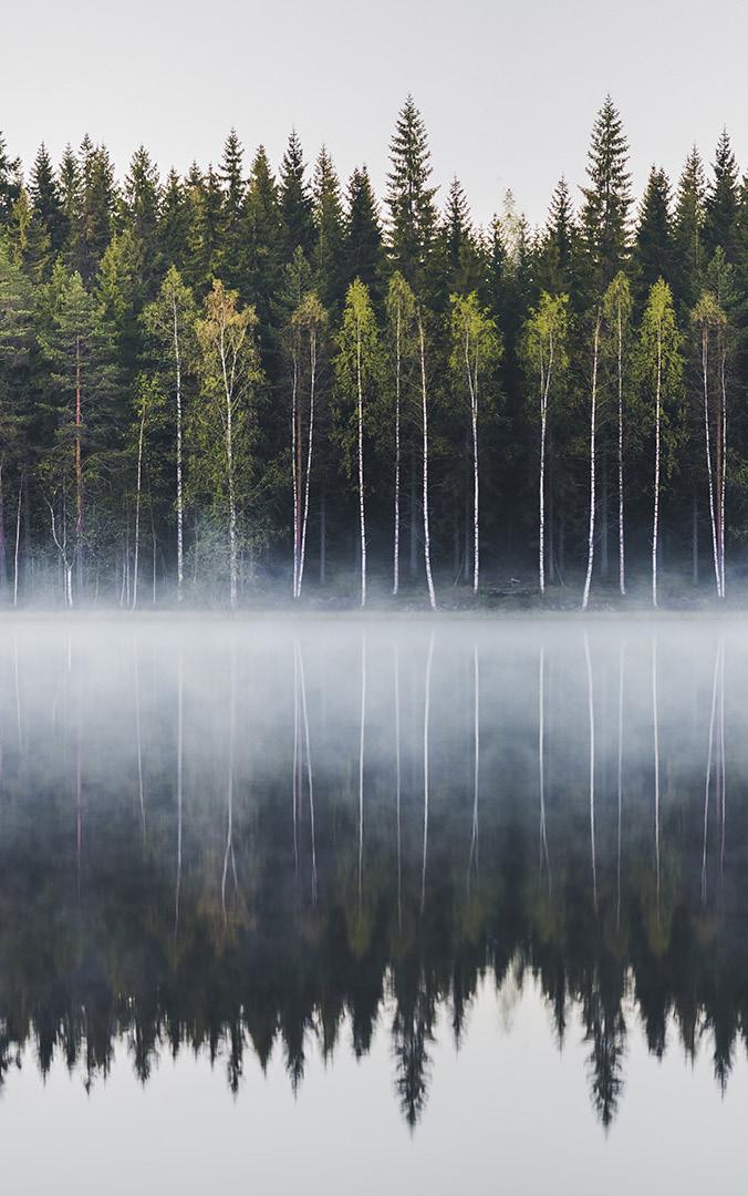 Suomalainen menestysresepti hakee Suomen kuuluisinta elintarviketta Suomalainen Menestysresepti-kilpailussa valokeilaan nousevat pienten ja keskisuurten valmistajien innovatiiviset uudet tuotteet.
