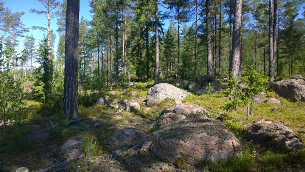 kiinteänä osana Klamilan koulun historiaan. Koko Klamilan entisen koulun alue on osa Klamilan kylämaisemaa, jolla on kulttuurimaisemallisia arvoja.
