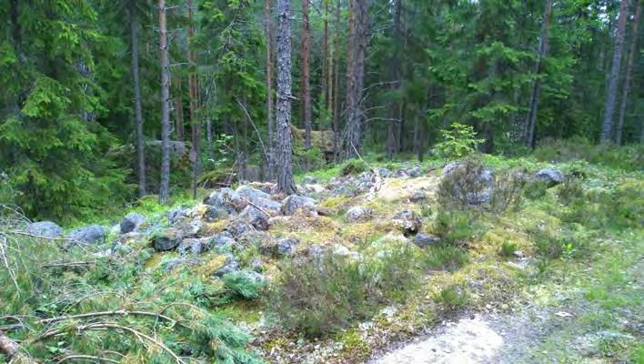 Kuvaaja: Petro Pesonen. AKDG 4722:9.