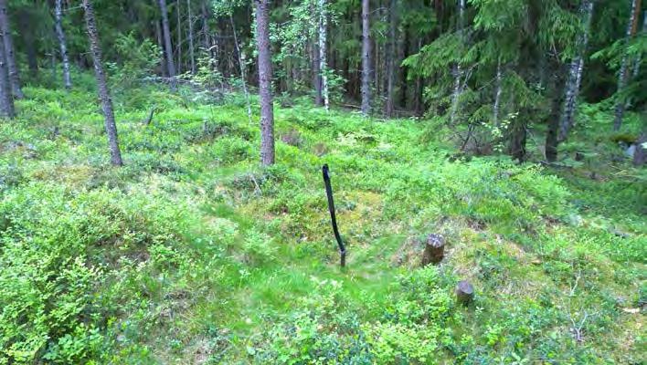 Hautaröykkiö, lounaasta.