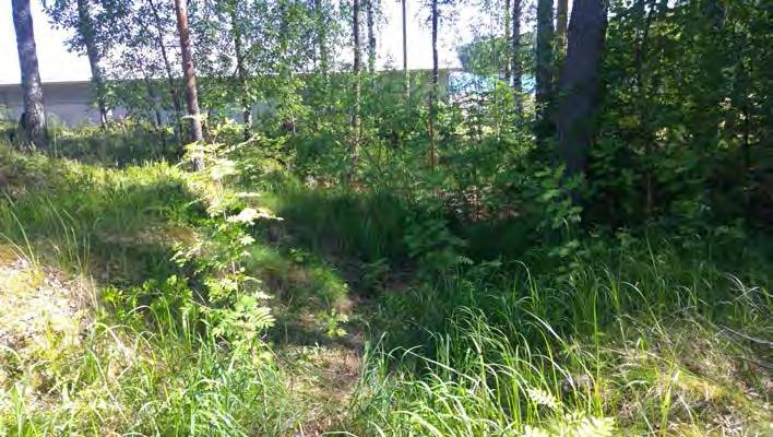 AKDG 4722:21. Virolahti Lantviikinvuori 1.
