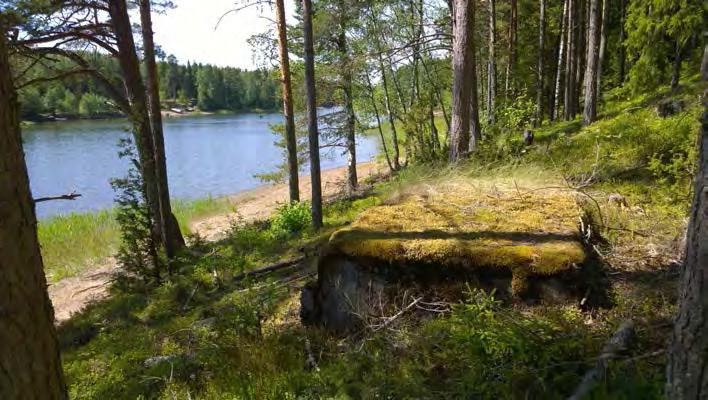 AKDG 4722:24. Virolahti Lantviikinvuori 2.
