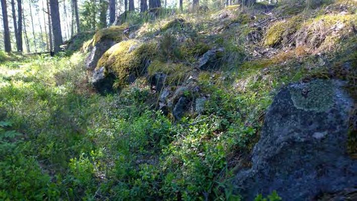 AKDG 4722:27. Virolahti Lantviikinvuori 2.