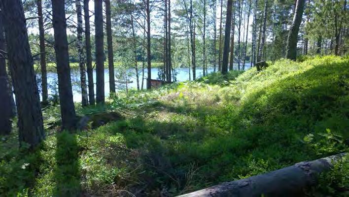 AKDG 4722:28. Virolahti Lantviikinvuori 2.