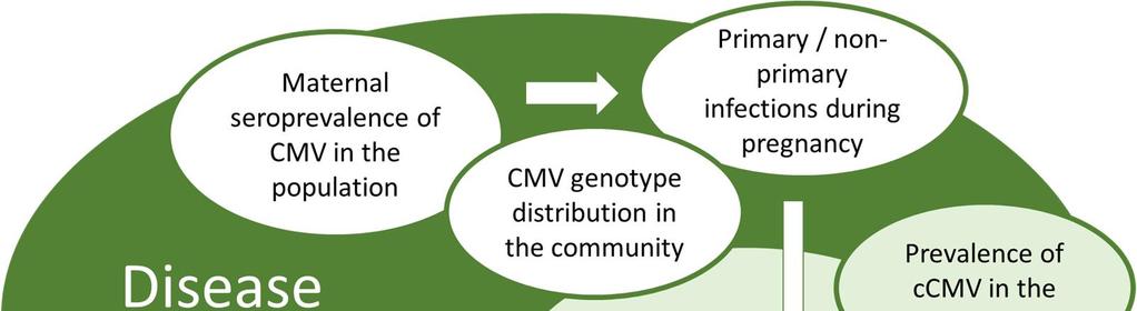 3 AIMS OF THE STUDY The aim of the study was to evaluate the disease burden of ccmv infection in Finland (Figure 3). The specific aims of the study were to: 1.