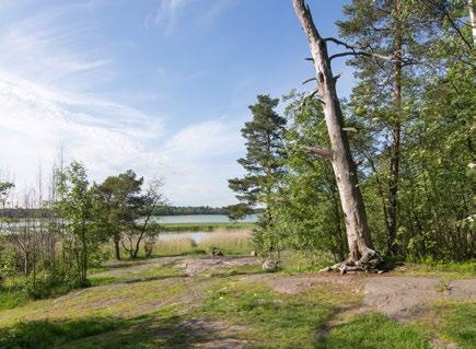 Alkusyksy Alkusyksyn aikana on luvassa vaikka minkälaisia erilaisia tapahtumia, joten pitkästymisen vaaraa ei ole.