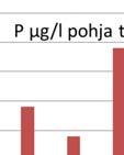 fosforipitoisuus