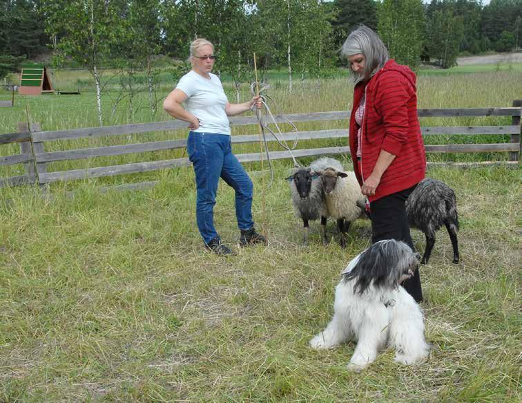 Leikkihetkeen voi varata myös sellaisia erityisen hyviä nameja, joita ei muulloin oikein saa, ja vaihtaa lelun runsaaseen määrään nameja, joita syöttelee yksitellen niin kauan että lelu unohtuu.