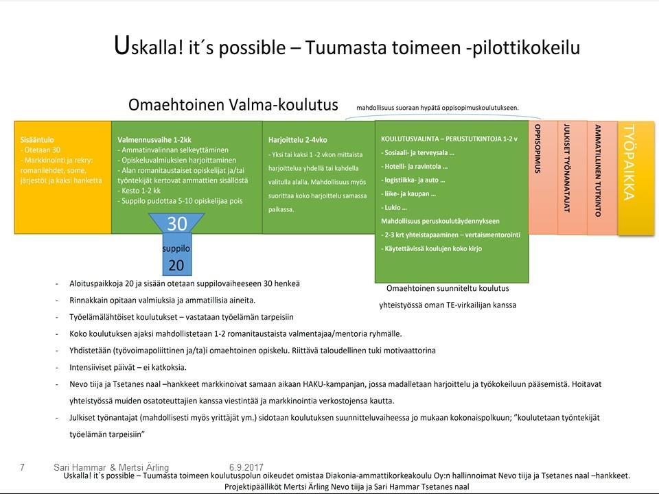 Liite 3: Uskalla!