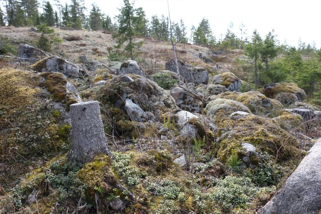 ottoalueen keskeltä länteen