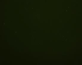 M2-rtT ROS26 S M2-rtT -globin poly + doxycycline S+poly TetOP H2-GFP -globin poly teto-h2-gfp wild type C -DOX +DOX ROS26 locus Col11 locus 6.