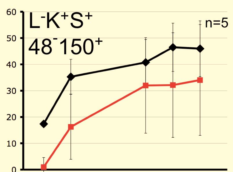 1) together with a small number of support marrow cells (CD45.1) to ensure survival.