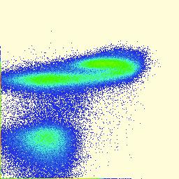 93 IgM Supplementary Figure 6: Characterization of MNCD-2 staining in the adult bone