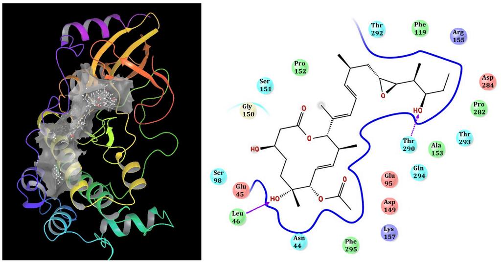 Overview of the Results pladienolide B had on the kinase, whereas mutation Asn-Glu-Leu Gly-Asp-Asn at residues 44-46 