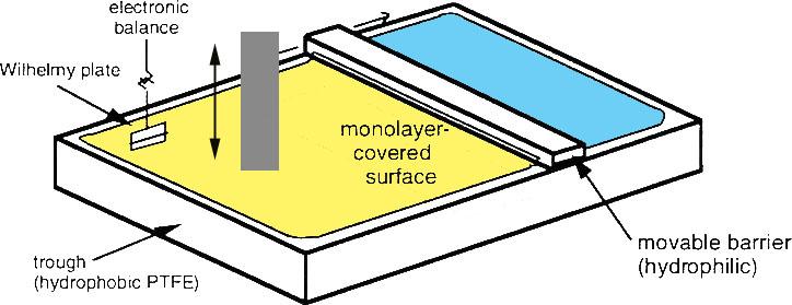 Monokerroksen valmistus ja Langmuir Blodgett menetelmä