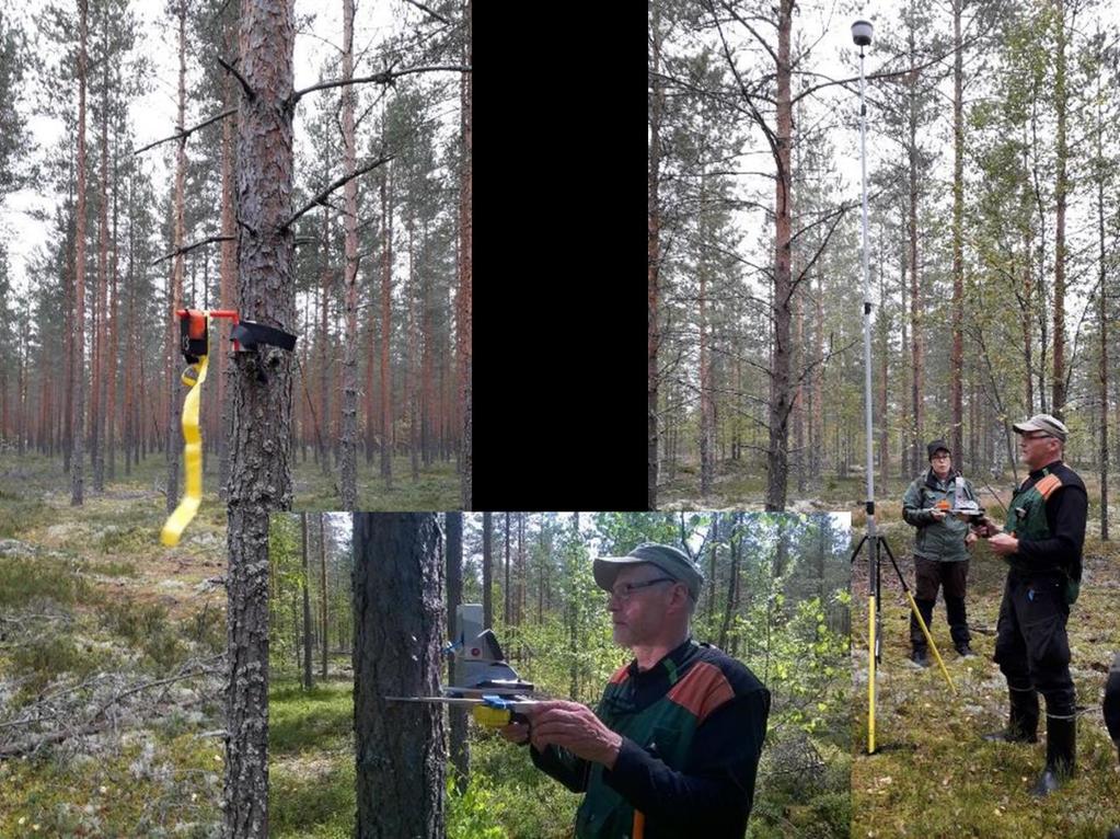 Suomen metsäkeskus Raportti 4 (25) Kuva 2. Kouvolan testialueen puukarttakoealamittaustestejä.