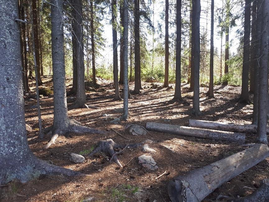 25/53 Suunnittelualue on nykyisin osa rakennettua taajama-aluetta.