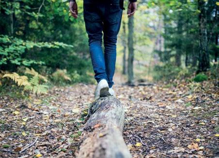 tietävät, mitä he luonnosta etsivät. Syysluonnosta löytyy ruskan sävyjä, värikkäitä marjoja, pudonneita lehtiä, kuivahtaneita kukintoja, kastepisaroita, aamusumua ja usein vielä kukkivia kukkiakin.