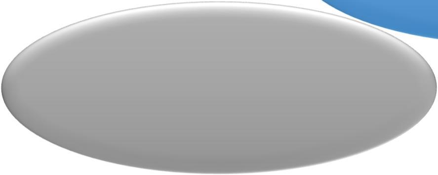 Kriittisiä