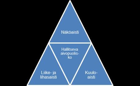 Visuaalisessa oppimisessa tietoa omaksutaan havainnoimalla ja tarkkailemalla ympäristöä. Auditiivisessa oppimisessa taas asioita opitaan kuuntelemalla.