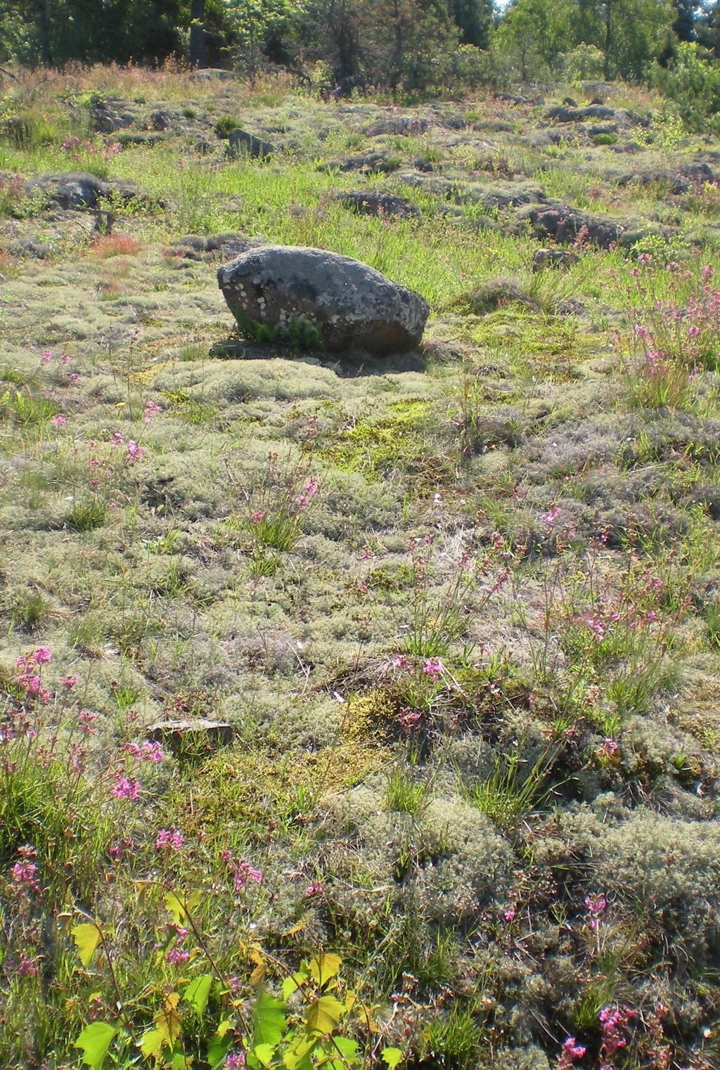 AHVENANMAAN HALLINTOTUOMIOISTUIN Ahvenanmaan hallintotuomioistuin toimii yleisenä alueellisena hallintotuomioistuimena Ahvenanmaan maakunnassa Ahvenanmaan käräjäoikeuden yhteydessä.