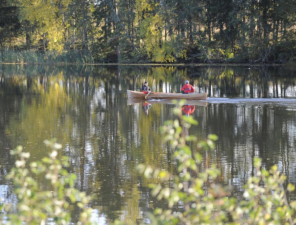 Hyvinvoinnin kasvu