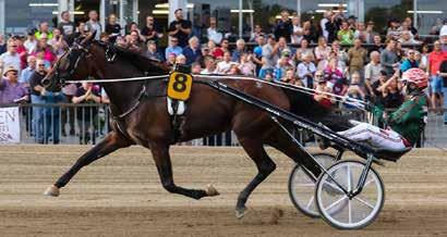 Racing family Jukka ja Hannu Torvinen Hannu ja Jukka Torvinen ovat molemmat ammattiohjastajia.