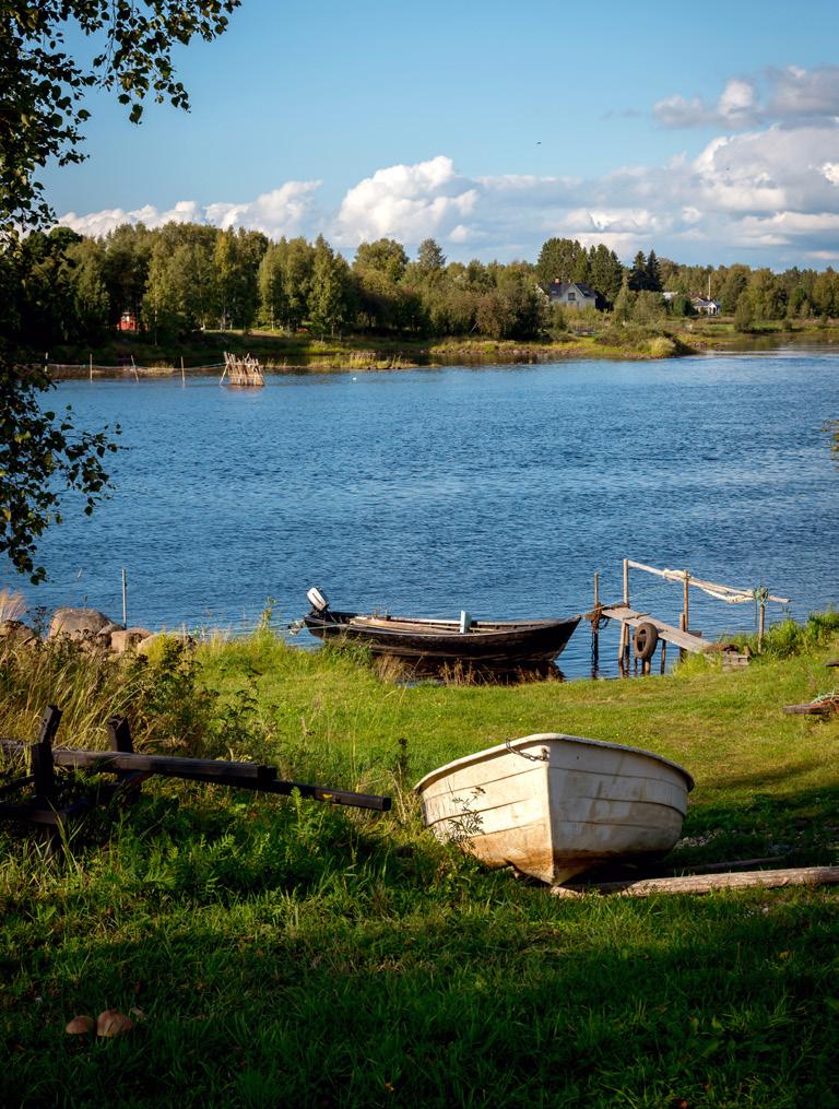 Vaivatonta ja viihtyisää otona kuin kesämökillä upean jokimaiseman varrella, kävelymatkan päässä palveluista