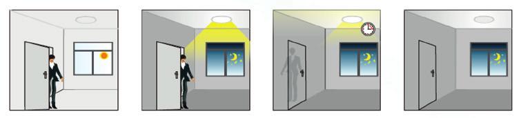 LUMI II RADAR 10100 4297218 / 4297219 WIRING DIAGRAM 7 5 3 3 5 7 Detection surface radius. Ceiling installation (height 3 m).