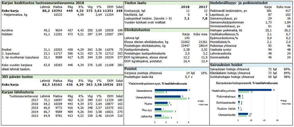 Fokus navetassa