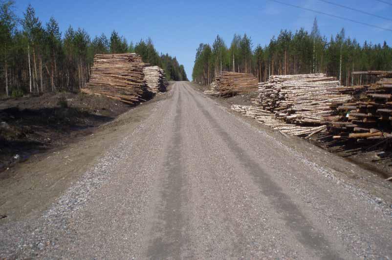 Metsäteiden kantavuuksissa puutteita Riittävän kantava metsätie mahdollistaa raskaat puunkuljetukset myös kelirikkoaikoina.