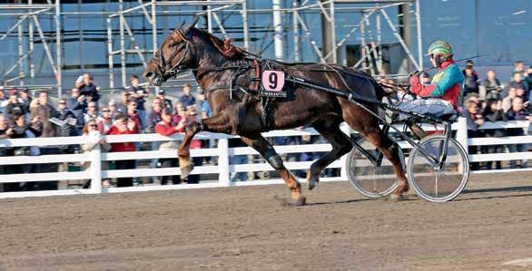 24 / 2019 ravit 1 radan nro 17 ÄIMÄRAUTIO