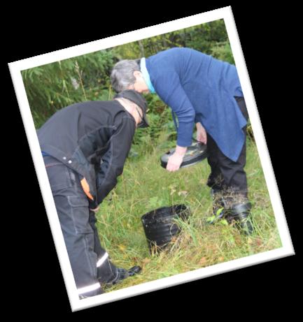 Jätevesijärjestelmä vaihtoehdot -Kiinteistökohtaiset jätevesijärjestelmät