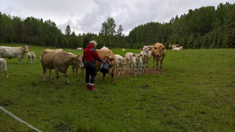 Luken podcast: Ruoka, ruoan tuotanto ja ilmastonmuutos miten riskejä taklataan?