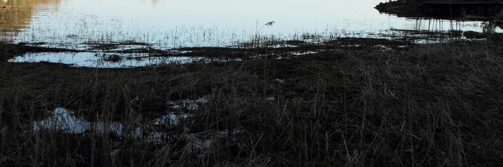 Hulevesitulvariskien arviointityössä todettiin, että tulvalain mukaisia merkittäviä hulevesien tulvariskialueita ei ole Vaasassa.