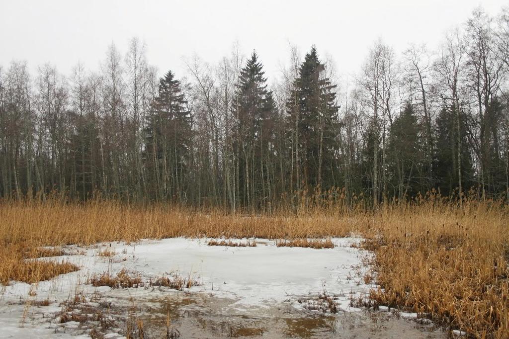 tarkennetaan alueen hulevesiratkaisuja, jos kaupunkiosakeskuksen alueelle on suunnitteilla lisärakentamista.