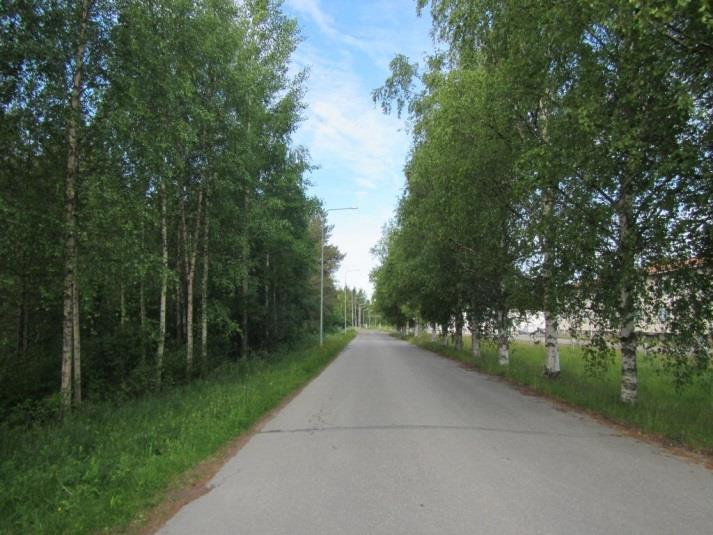 Selvitysalueen eteläosa on metsäistä aluetta, joka on länsiosaltaan mäntyvaltaista kuivahkoa (EVT) kangasta, keskiosalta ojitettua rämettä ja itäosalta tuoretta (VMT) sekapuustoista kangasta.