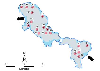 havaittavissa missään järven osassa (Liite 1 Taulukko 6; Kuva 32; Mäkinen & Pajunen 2005).