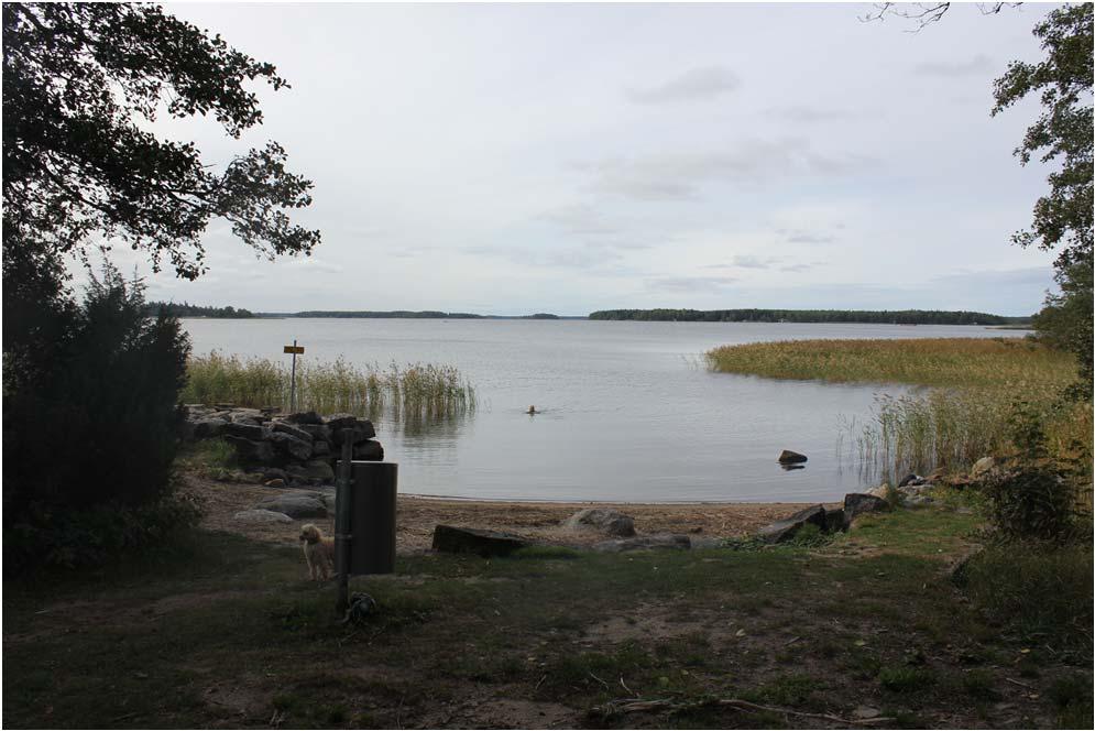 85 Kuva 51. Ukkokari on paikallisten suosima uimapaikka. (Heidi Kangasluoma) Asemakaavassa (Kuva 52) alue on varattu lähivirkistysalueeksi.