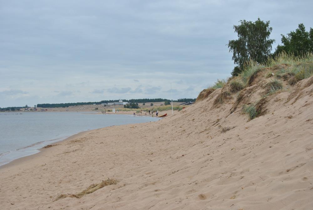 Kalajoen hiekkadyynit