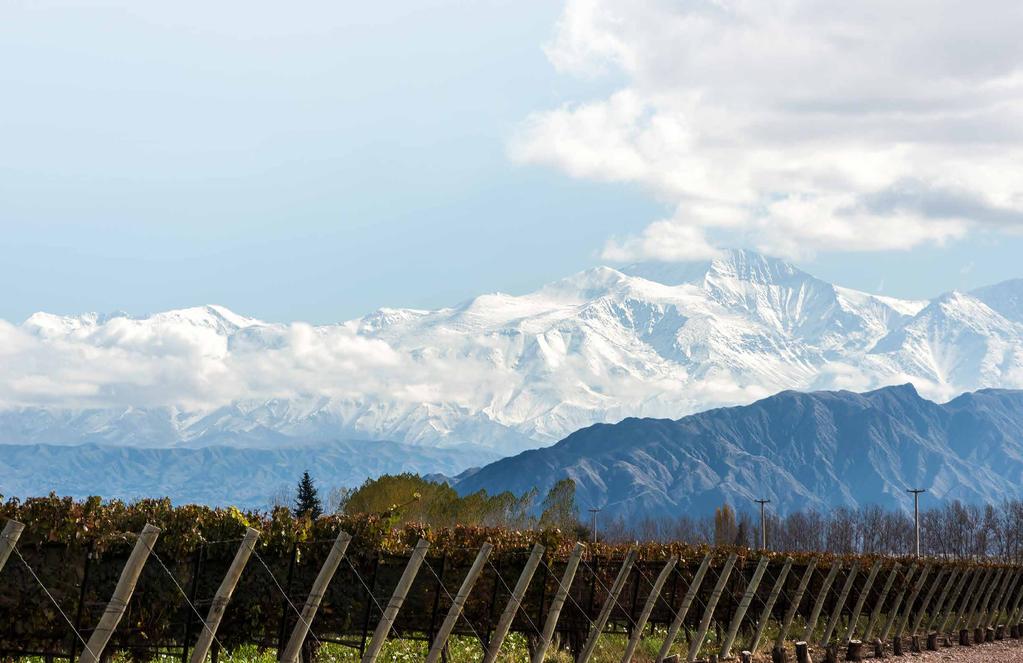 ARGENTIINA ARGENTIINA Masi Tupungato Perinteikäs italialainen viinitalo Masi aloitti viininviljelyn Argentiinassa 1990-luvulla, Vigneti La Arboleda -tilalla, Mendozan Tupungato -laaksossa.