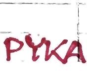 CU-PROJEKT Näytteen luokit e isäntäk i v en muk. D PYKA, pyrokseenikarsi CU-PROJEKT Näytteen luokite isäntäk ive n muk.
